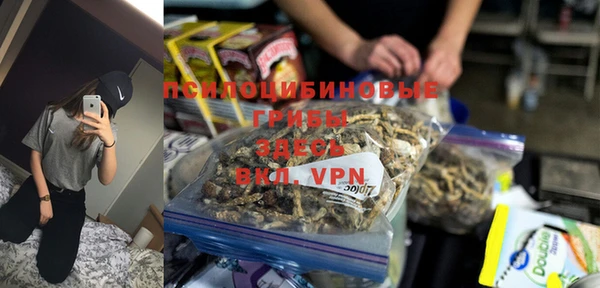хмурый Краснослободск