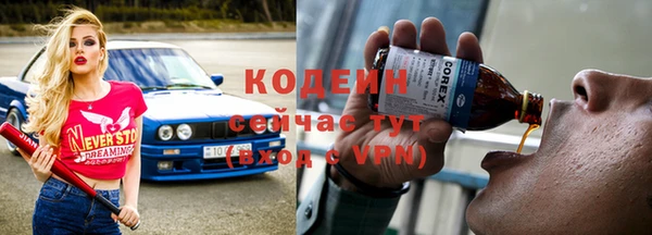 хмурый Краснослободск