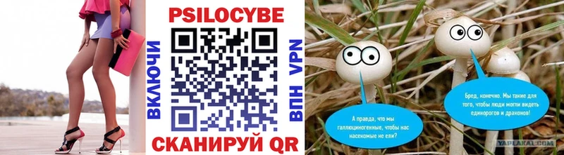 Галлюциногенные грибы Cubensis  Купить  Нурлат 